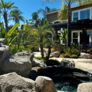 Soul Sanctuary: A Longevity Day Retreat